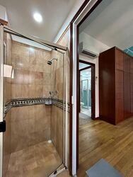Dover Parkview (D5), Condominium #536682811